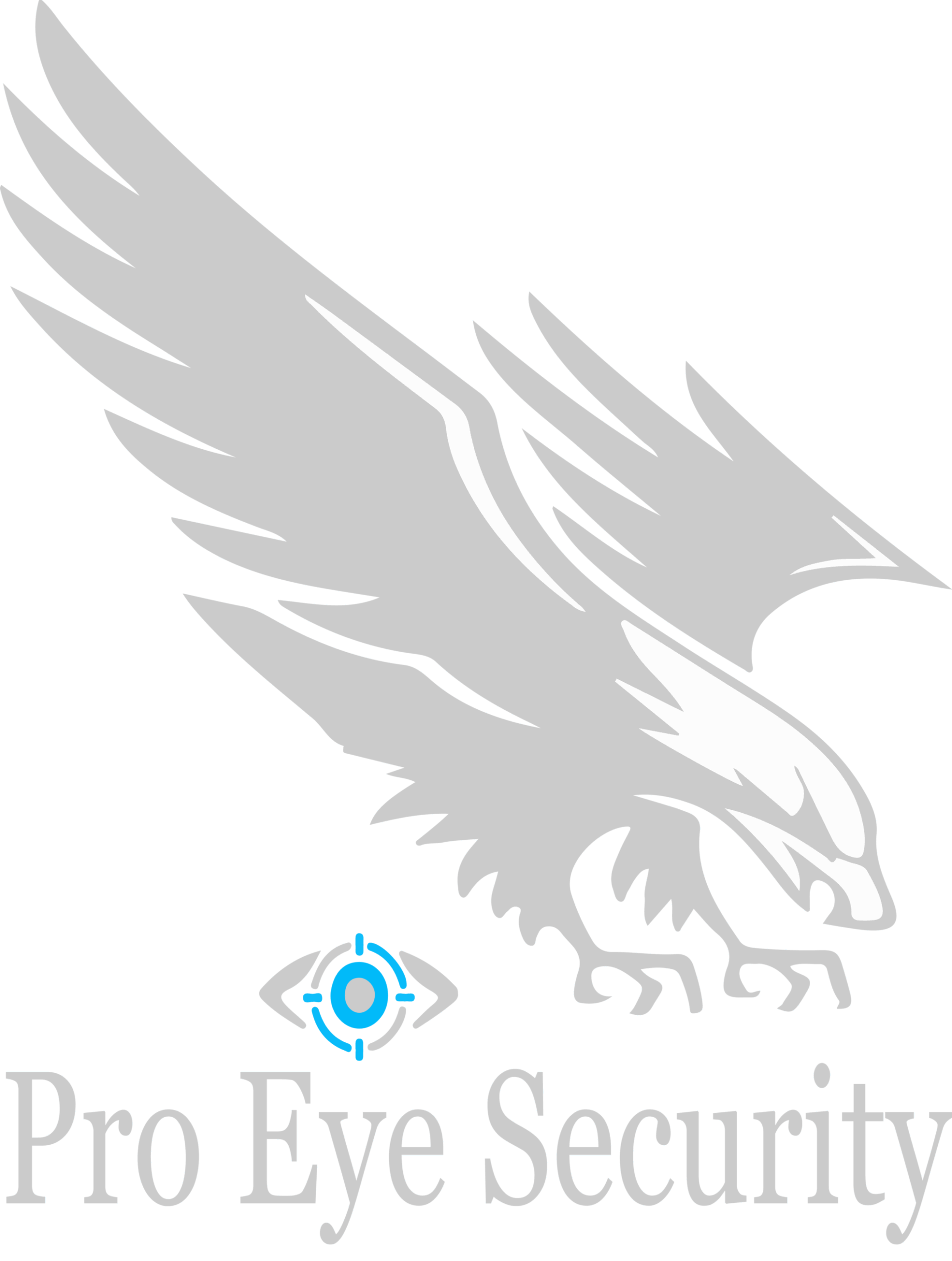 Pro Eye Security